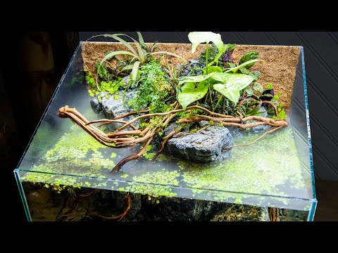 YouTube reptile video