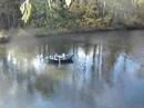 watching the atnarko river on a beautiful, sunny,fall day.