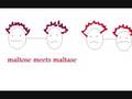 carbs_0001.wmv