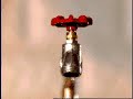Spigot