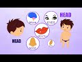 Learn about Human Body Parts For Kids - HEAD