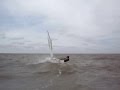 videos de arg-2904