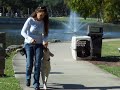 Piper the Yellow Labrador Dogtra E-collar/Pager collar
