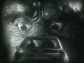 videos de Anuncio Audi A4 quattro King Kong.mpeg