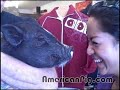 Kissing Barbie Q. the PIG #13 - Kissing a Pot Bellied Pig