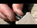 Backpacker Survival Skills: Start a Fire with Your Cell Phone