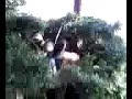 kid pogos into bushes