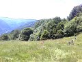 pinard & montagne - pov' types !