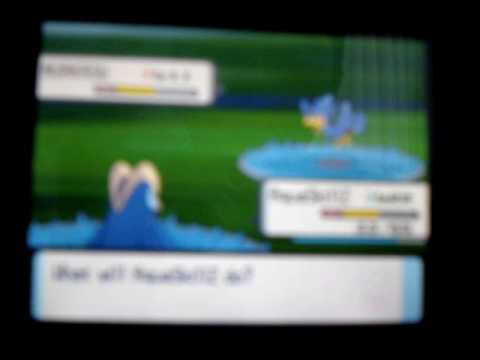 Murkrow