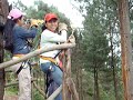 Cascadas de Tatasirire