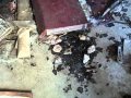 Hurricane Katrina 5 Years Later: Found Memories