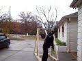 counterweight trebuchet