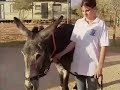 Andalucia directo - refugio del burrito