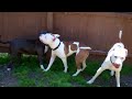 Click here to watch this video 