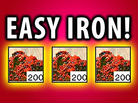 how to obtain iron