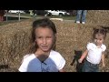 Corn Maze and Pumpkin Patch