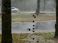 Storm 2 Storm 2
