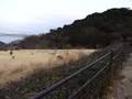 美湯松帆の郷から観る明石海峡大橋