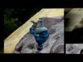 videos de Parcour Planten un Blomen
