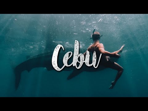 Video thumbnail image