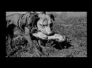 Trent Parke - Magnum Photographer