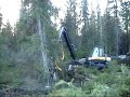 Ponsse Ergo vs. Beaver
