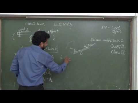 LEVER for class 10