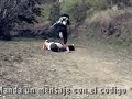 Mi futuro Pepsi - Estrella de Accion