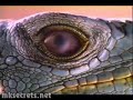 mortal kombat ii - commercial (extended) download from: www.mksecrets.net