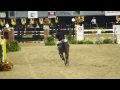 Jennifer Waxman on Venturo at NHS Junior Jumper Division Championship Round
