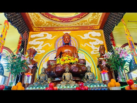 Kinh NIKAYA Giảng Giải - Bảo Hiểm Tâm Linh