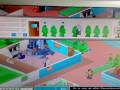 final theme hospital
