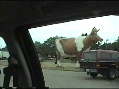 The Big Oasis Cow - Janesville Sucks