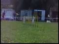 Cora agrokiwi, agility exam