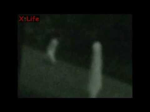 how to eliminate night crawlers in a lawn