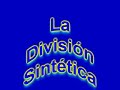 Division Sintética