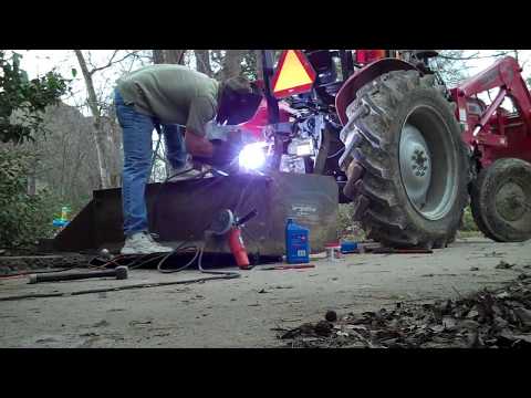 how to fertilize pindo palm trees