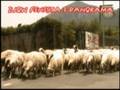 videos de IUOW 2 puntata