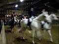 Caroussel 2008 Goudsehout.