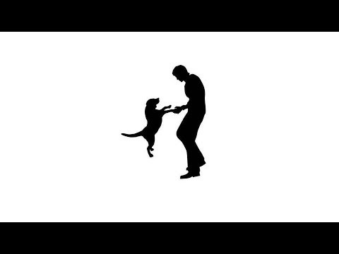 how to cure dog worms