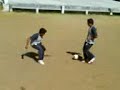 joga bonito progresotv
