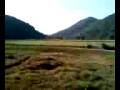 videos de 深涌 06012008 - 大宅