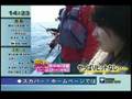 シーバス 鈴木舞 黛英里佳