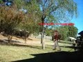 Dawg meets the real world