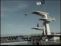 Bam Magera-Video Skate