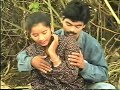 Search Video