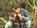 Search Video