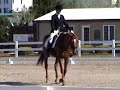 CHP 08 - Dressage CHP 08 - Dressage