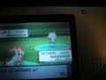 Shiny Illumise Shiny Illumise