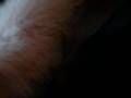 videos de 101 2515